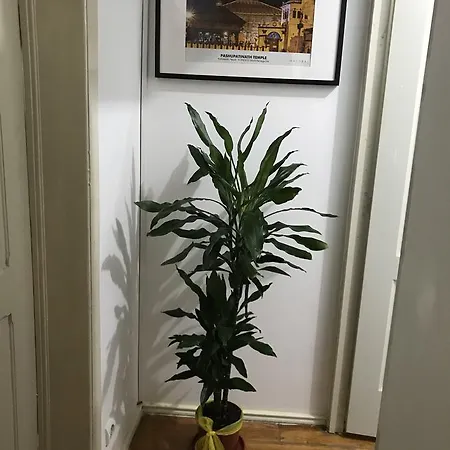 Namaste Homestay Lisbon