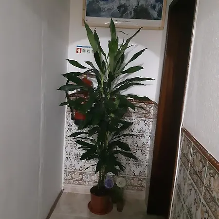 Namaste Homestay