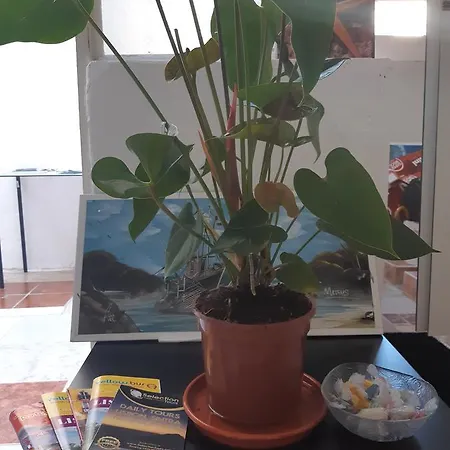 Namaste 홈스테이 *